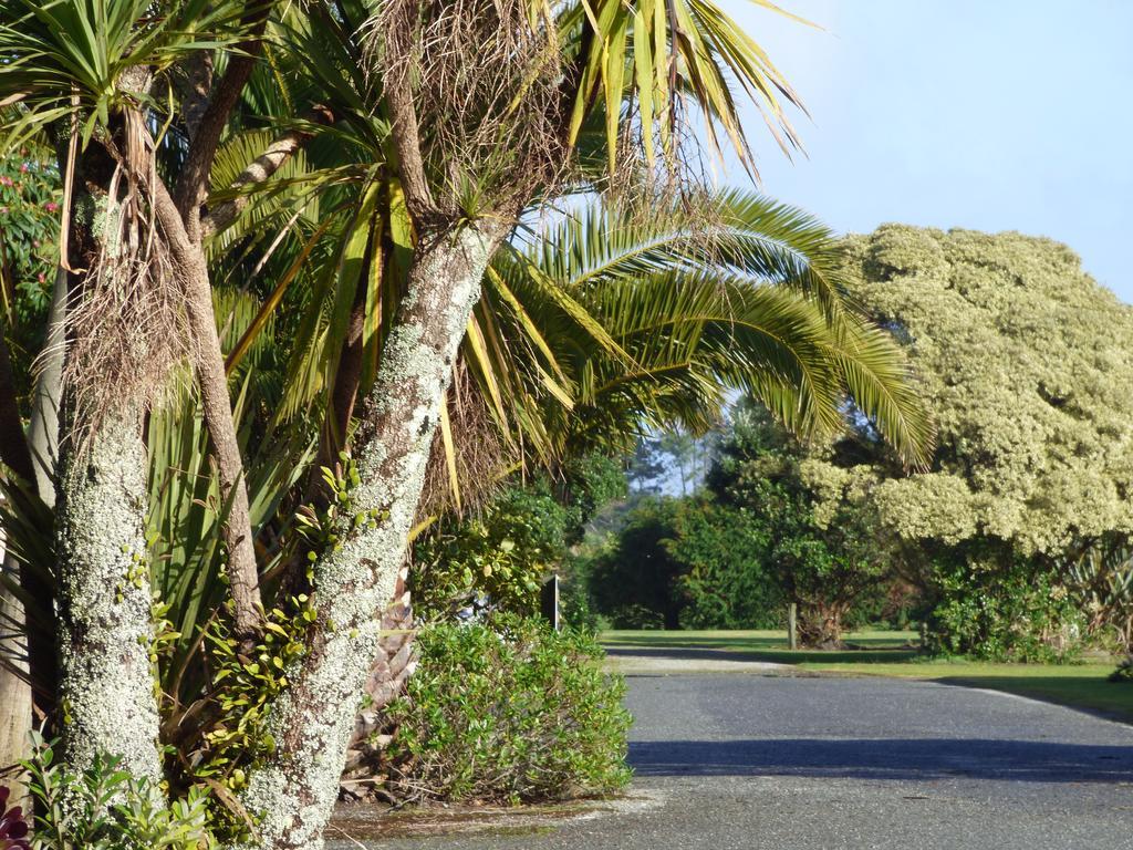 Carters Beach Top 10 Holiday Park Westport Kültér fotó