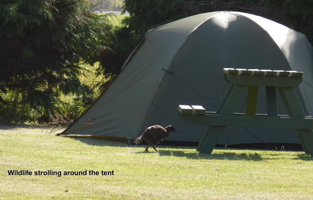 Carters Beach Top 10 Holiday Park Westport Kültér fotó