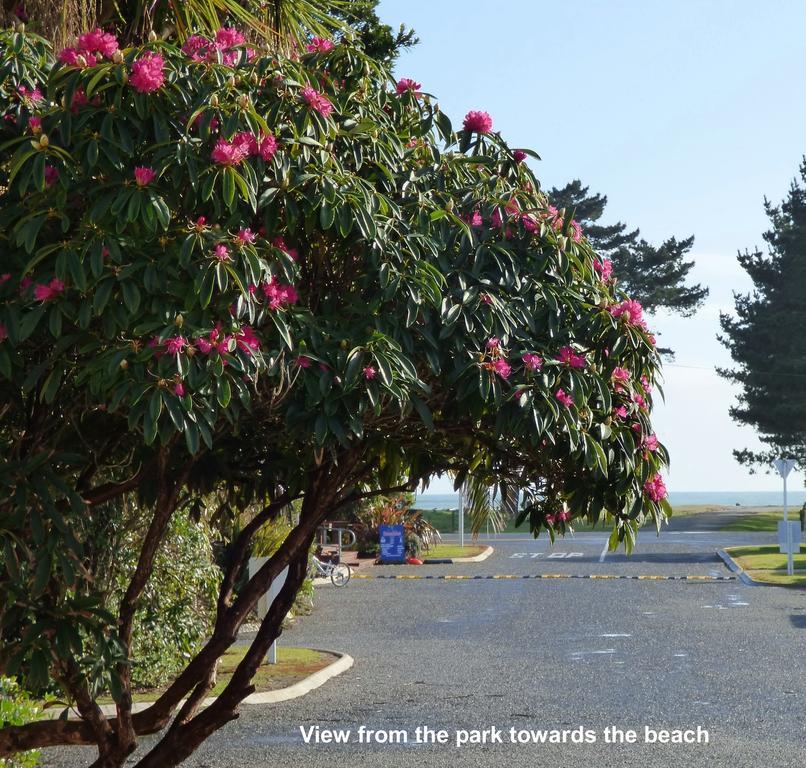 Carters Beach Top 10 Holiday Park Westport Kültér fotó